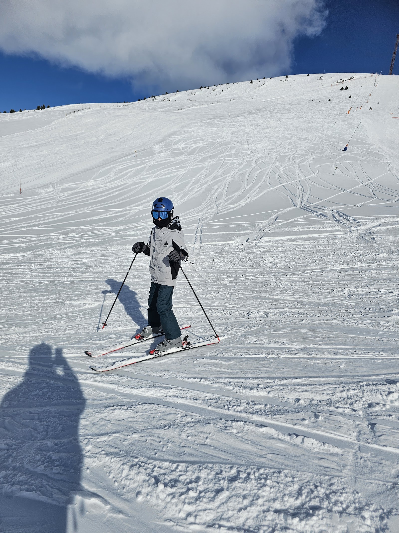 Tree lined runs above the El Tarter base in Andorra