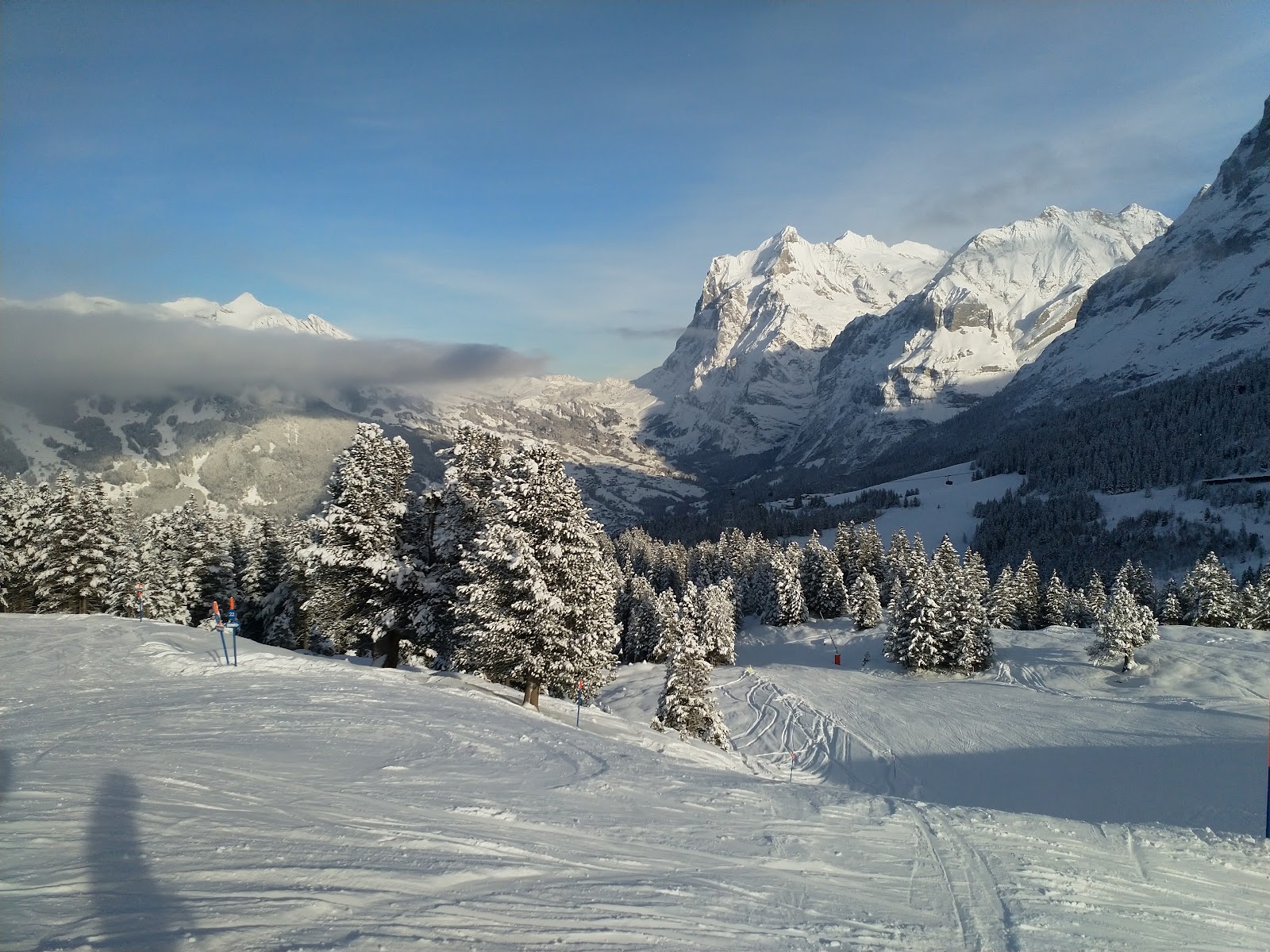 Wide sunny intermediate pistes above Grindelwald